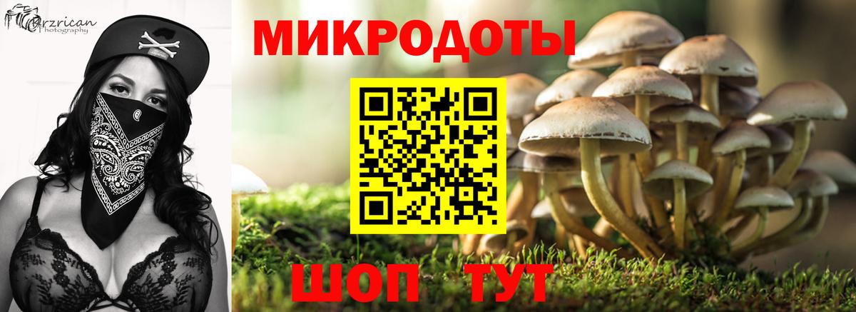 Галлюциногенные грибы GOLDEN TEACHER  Псилоцибиновые грибы Magic Shrooms  Санкт-Петербург  Вход с VPN 