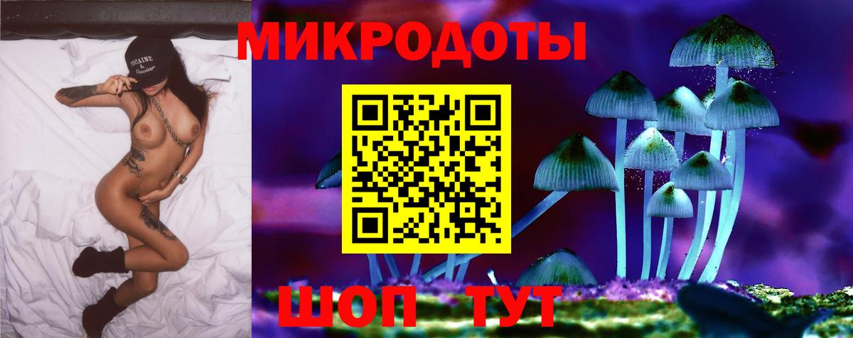 Псилоцибиновые грибы мицелий Санкт-Петербург